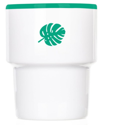 Monstera