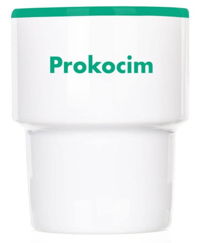 Kubek bez ucha Prokocim