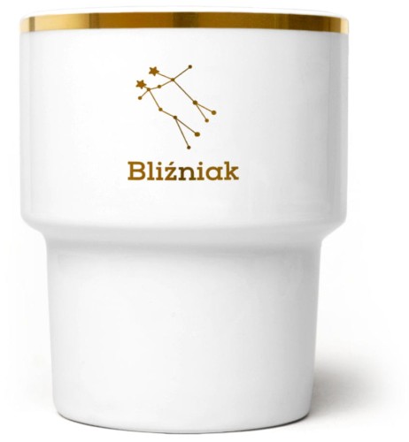 Bliźniak